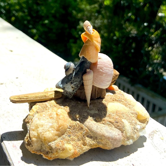 Seashell driftwood art sculpture; driftwood sculpture beach decor shell decor - Picture 1 of 7